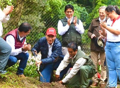 Un millón de árboles para preservar el Santuario Histórico de Machu