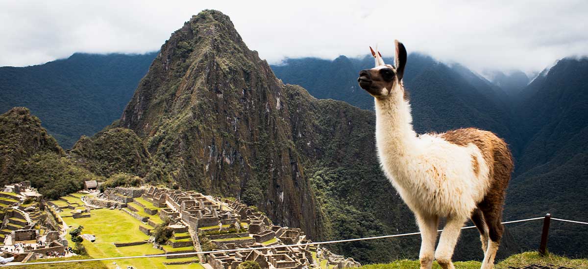 Travel Itinerary To Peru 15 Days And 14 Nights In Machu Picchu Cusco